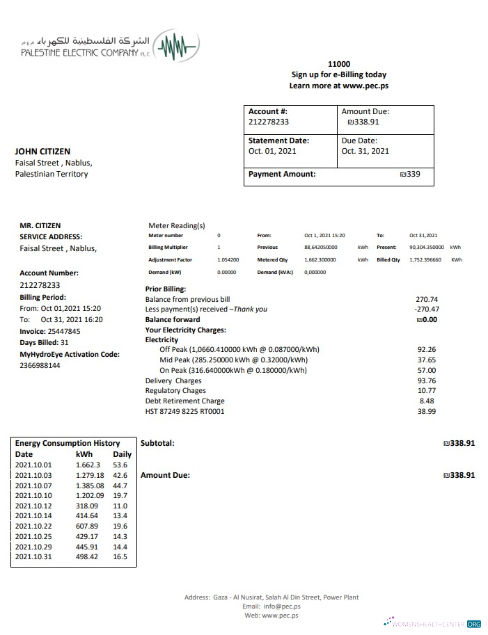 download Palestine Electric Company (PEC) utility bill template in Word and PDF format PDF template